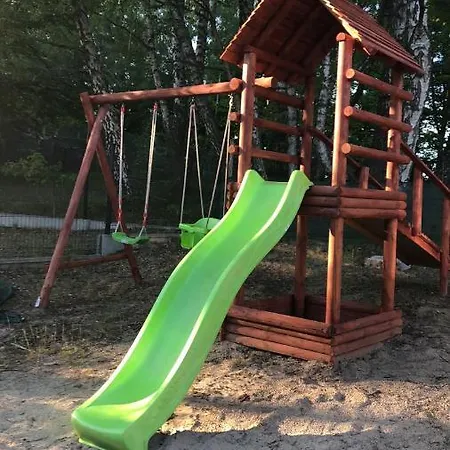 Holenderka Artur * Stegers