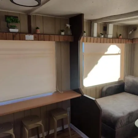 Holenderka Artur * Rzeczenica